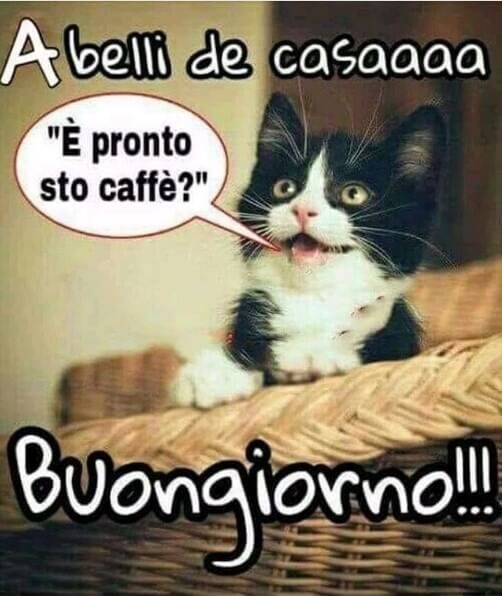 buongiorno divertente