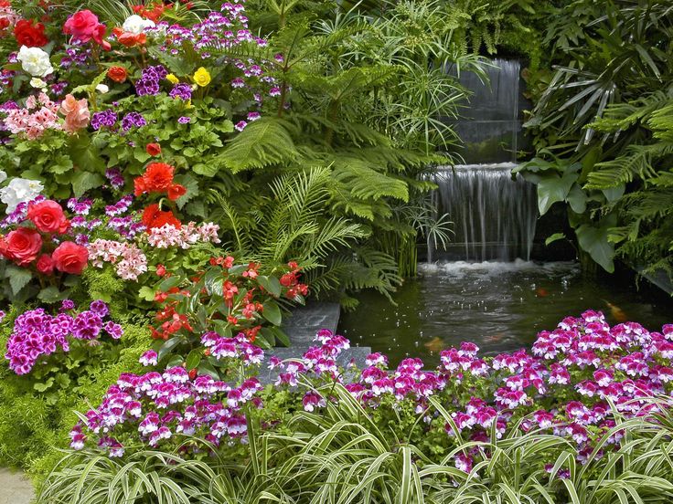 most beautiful rose gardens in the world google search koi pond pinterest gardens plants and flowers - Most Beautiful Rose Gardens In The World most beautiful rose gardens in the world google search koi pond pinterest gardens plants and flowers - Most Beautiful Rose Gardens In The World