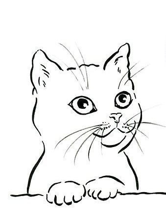 Funny Cat Coloring Page - D17e524a7aa37e450d3e8cc2cb7f74e6