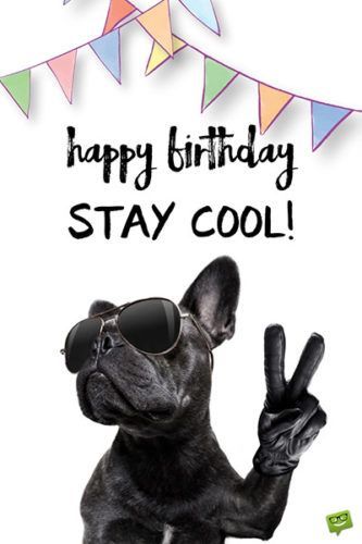 Lustige alles Gute zum Geburtstag Bilder