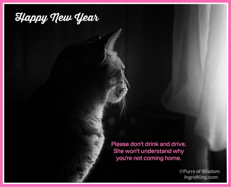 Happy New Year Greetings From Allegra happy-new-year-greetings-from-allegra