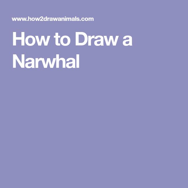 25 gorgeous narwhal drawing ideas on pinterest cute narwhal narwhals and kawaii drawings