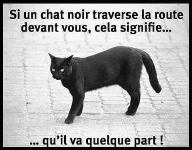 Images et smileys...en joutes - Page 14 D1ac1b723aa32ba56d80e4d0304c9935