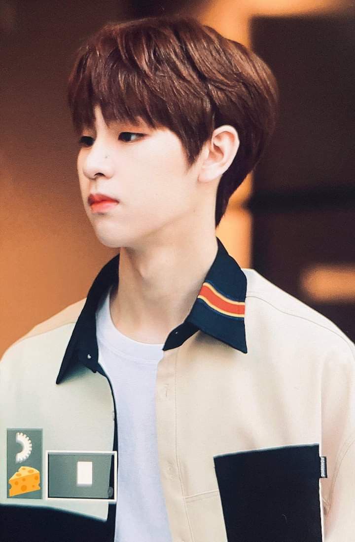 pin di woollim kim dongyun pin di woollim kim dongyun