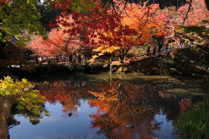 大国寺 観光スポット 丹波篠山市 丹波市の丹波地域の観光や旅行の魅力を紹介する公式観光ポータルサイト 21 観光 旅行 観光スポット 大国寺 観光スポット 丹波篠山市 丹波市の丹波地域の観光や旅行の魅力を紹介する公式観光ポータルサイト 21 観光 旅行 観光スポット