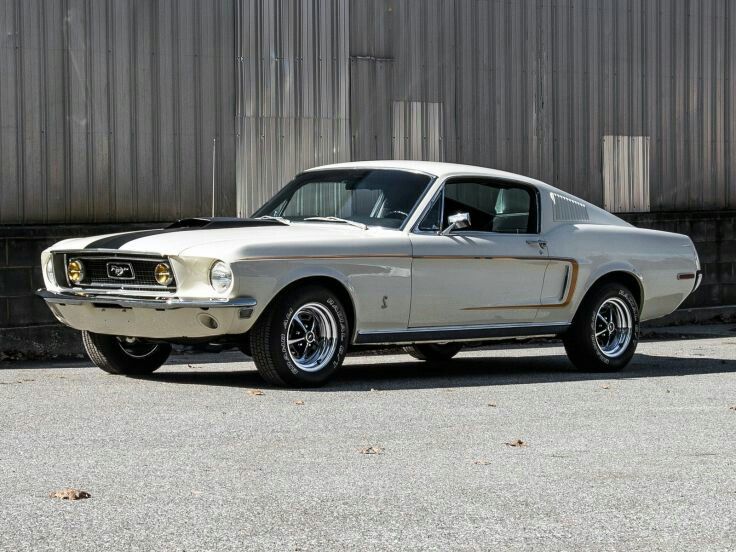 2902 best Mustangs images on Pinterest 2902 best Mustangs images on Pinterest