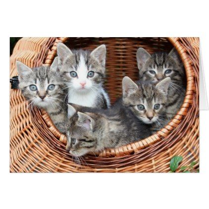 Basket full of fur babies kittens missing you card - baby gifts child new born gift idea diy cyo special unique design