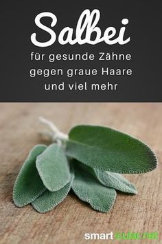 Salbei: gegen graue Haare, für gesunde Zähne und viel mehr