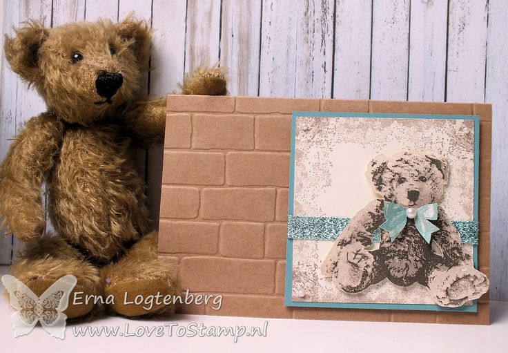 Ourson Carte Petit Ours Brun Ourson Carte Petit Ours Brun