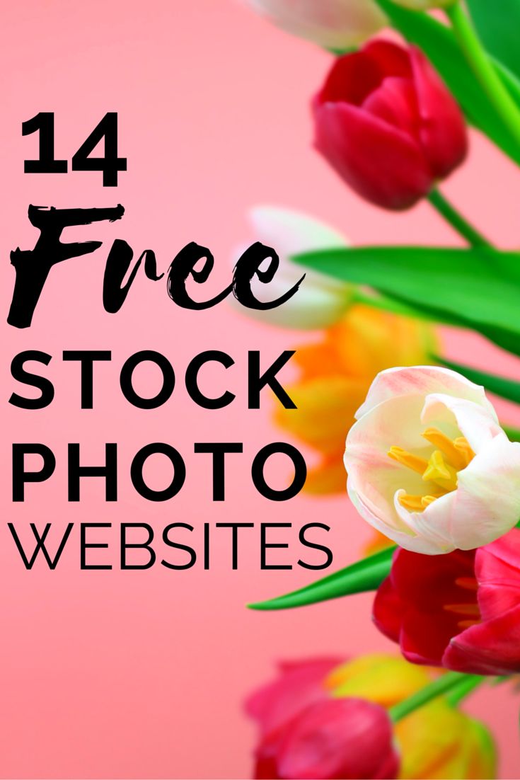 653 best blog tips