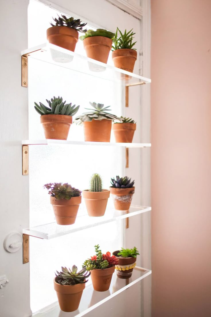 20 best plant shelves images on pinterest plants on shelves for plants indoor id=98992