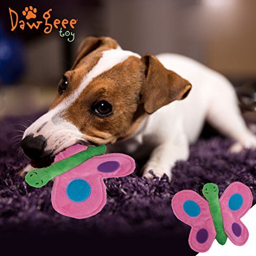 Stop Dog Destroying Toys Stop Dog Destroying Toys