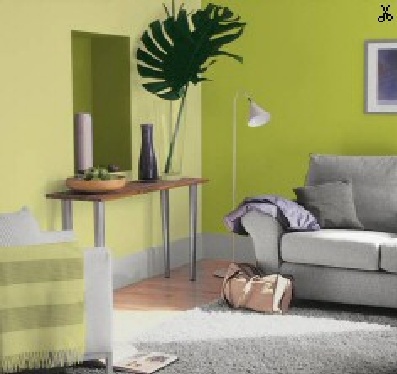 dulux lime zest colours bedroom pinterest spare room dulux lime zest colours bedroom pinterest spare room