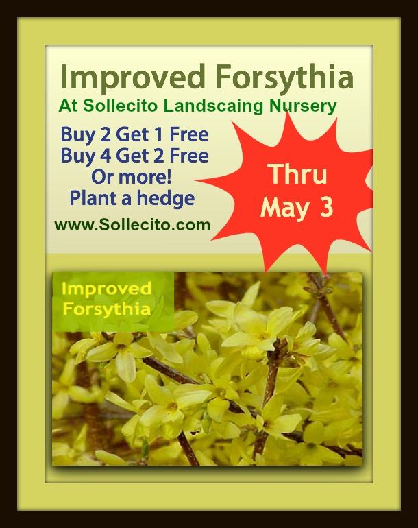 Armstrong nursery coupons