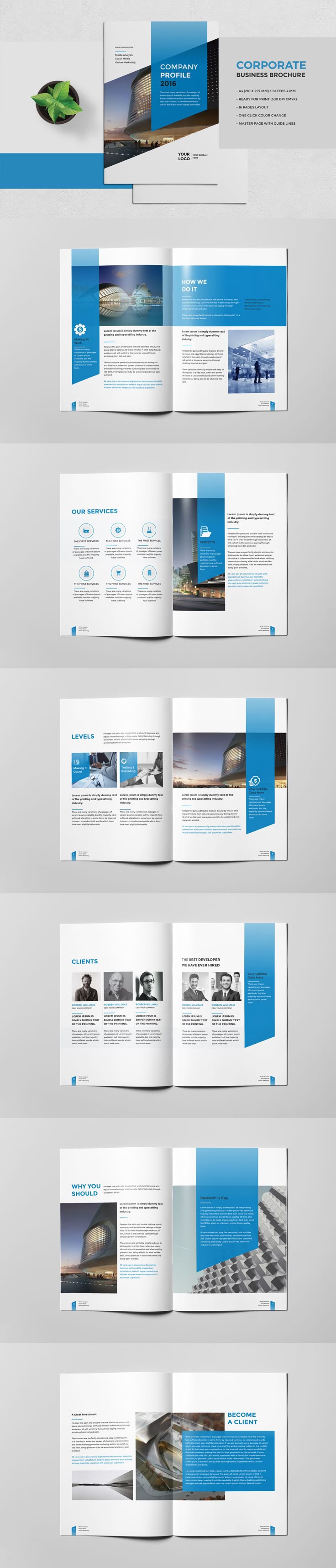 corporate brochures designs