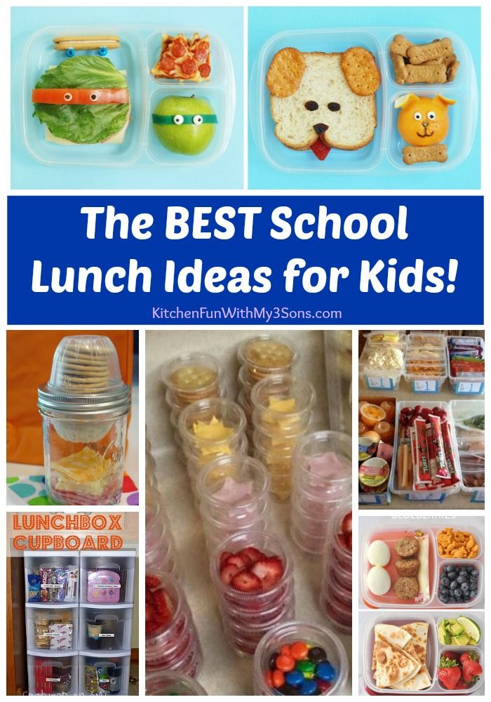 best 25+ cold school lunches ideas only on pinterest | toddler best 25+ cold school lunches ideas only on pinterest | toddler