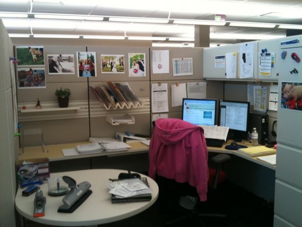 decorations for office cubicle. the unique office cubicle decoration in every moment ideas dickoatts decorations for d