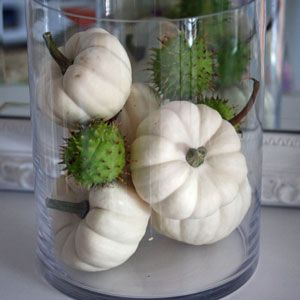Herbstdeko mit weißen Baby Boo Kürbissen
