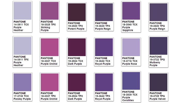 Why is purple official gay color