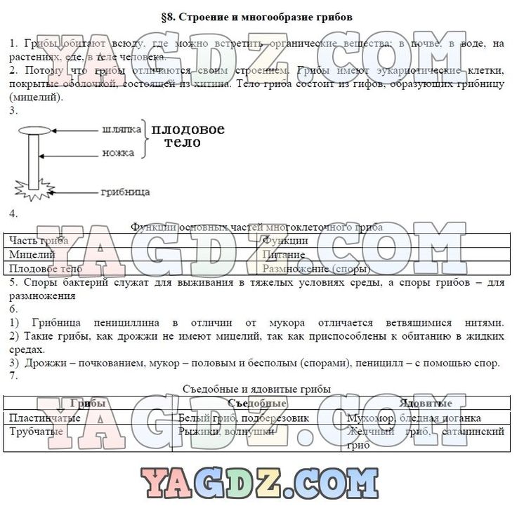 Алгебра учебник 2017 г 8 класс углубленное изучение макарычев скачать бесплатно без регистрации