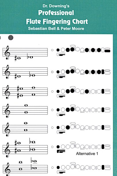 11 best The Flute images on Pinterest Flute, Flutes and Instruments - flute fingering chart 11 best The Flute images on Pinterest Flute, Flutes and Instruments - flute fingering chart