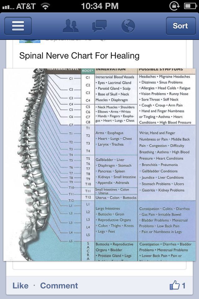 Spinal Nerve Chart For Healing Ziexon En 2020