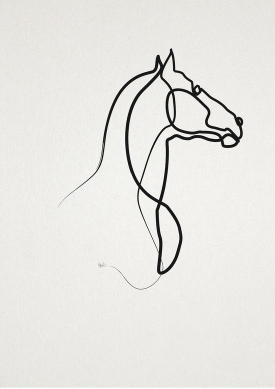Continuous Line Drawing Quibe : Best horse tattoo images on pinterest equine art