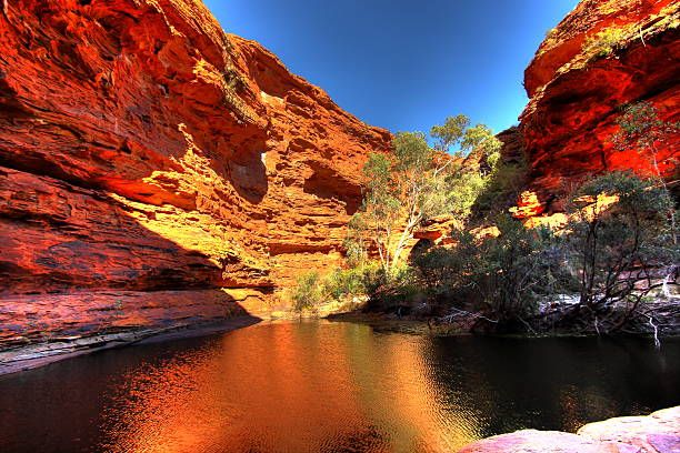 Lavish Alice Springs Lavish Alice Springs