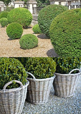 12 best BOJ ARTIFICIAL BOLAS images on Pinterest Artificial plants - flores artificiales para decorar 12 best BOJ ARTIFICIAL BOLAS images on Pinterest Artificial plants - flores artificiales para decorar