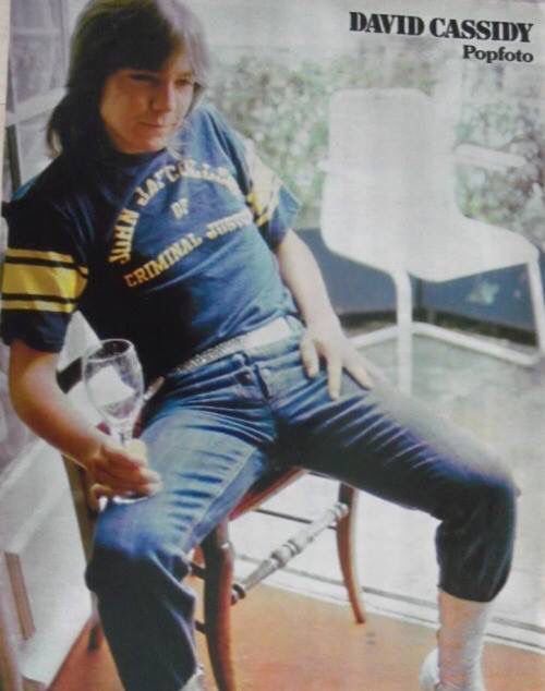 david cassidy sexy 523 best david cassidy images on pinterest david cassidy david cassidy sexy 523 best david cassidy images on pinterest david cassidy