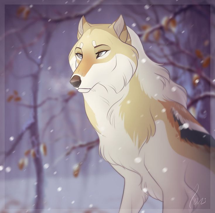 What anime wolf am i