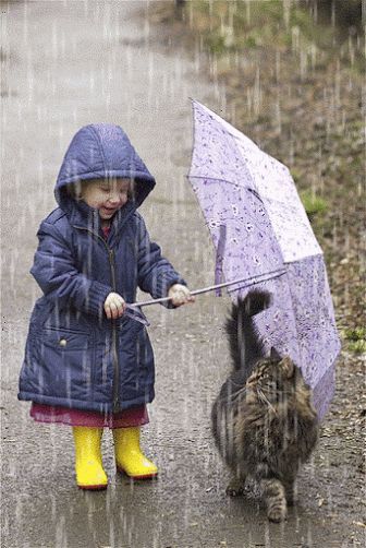 Cocuk Merhameti Cute Animals Cute Cats Animals