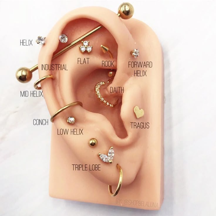 Curated Piercing Jewelry on Instagram: “Tell us about your ear piercing goals!...