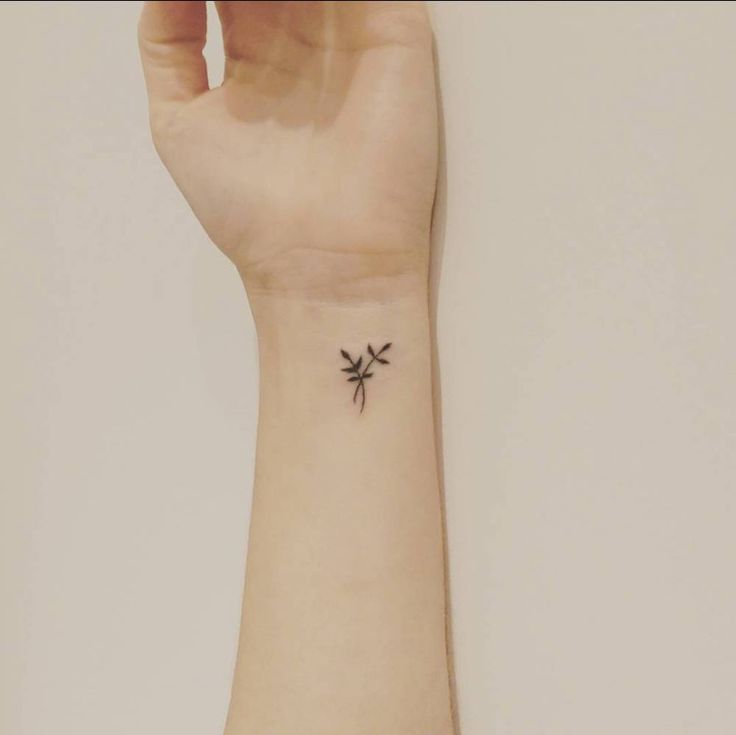 Mini tattoo Handgelenk zwei kleine Zweige