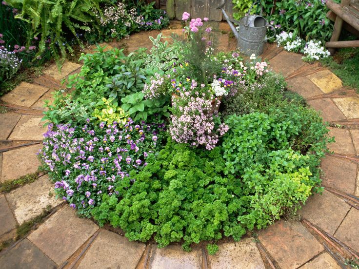 50 best herb gardens images on pinterest | garden ideas, herbs 50 best herb gardens images on pinterest | garden ideas, herbs