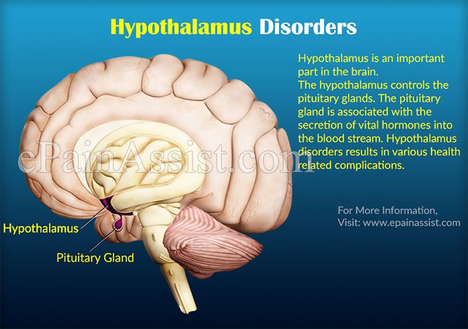 damage to the hypothalamus Hormonal imbalances after brain injury brain injury may occasionally cause damage to the hypothalamus and/or pituitary gland, which are small structures at the base of the brain responsible for regulating the body's hormones. damage to the hypothalamus Hormonal imbalances after brain injury brain injury may occasionally cause damage to the hypothalamus and/or pituitary gland, which are small structures at the base of the brain responsible for regulating the body's hormones.