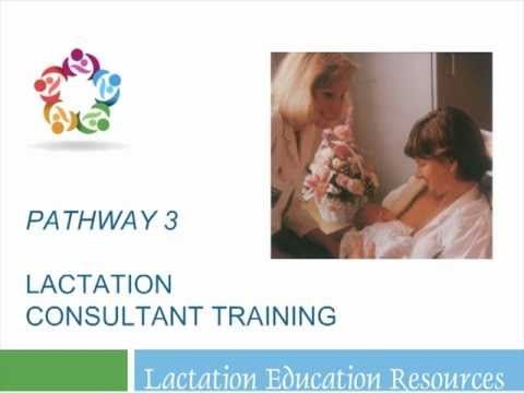 Best 25+ Lactation consultant ideas on Pinterest Size of baby - certified lactation consultant sample resume Best 25+ Lactation consultant ideas on Pinterest Size of baby - certified lactation consultant sample resume