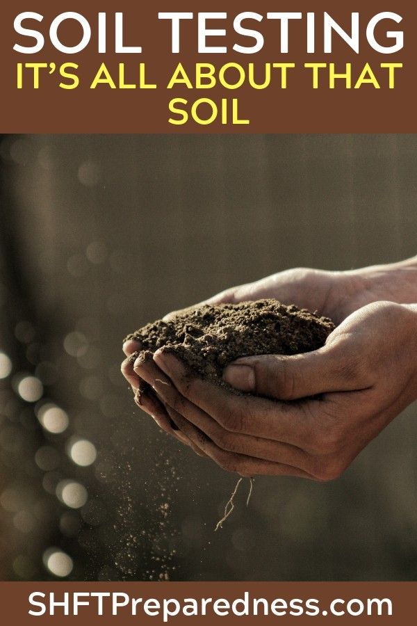Soil Testing It S All About That Soil Garden Soil Biodynamic