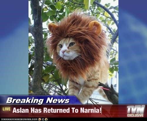 134 best narnia images on pinterest chronicles of narnia, funny d2fc5ab22b9b9d13320b3a8be48625ad lion mane a lion 134 best narnia images on pinterest chronicles of narnia, funny,Narnia Memes