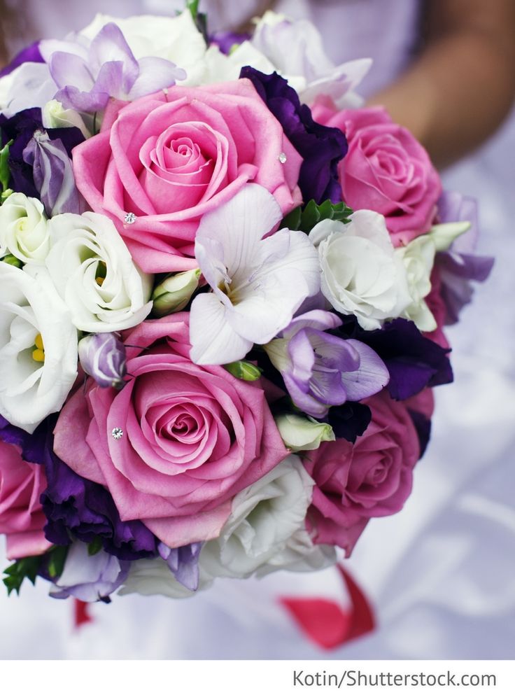 Die besten 25+ Pink lila Ideen auf Pinterest rosa lila Party - lila blumen bestimmen Die besten 25+ Pink lila Ideen auf Pinterest rosa lila Party - lila blumen bestimmen