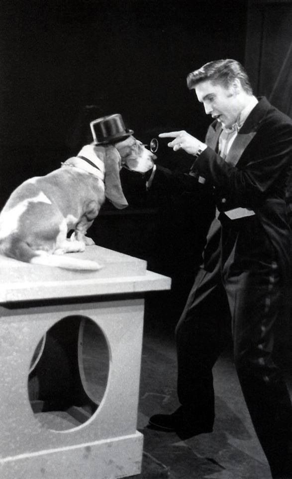 183 best The Ed Sullivan Show images on Pinterest Young elvis - i have no objection 183 best The Ed Sullivan Show images on Pinterest Young elvis - i have no objection