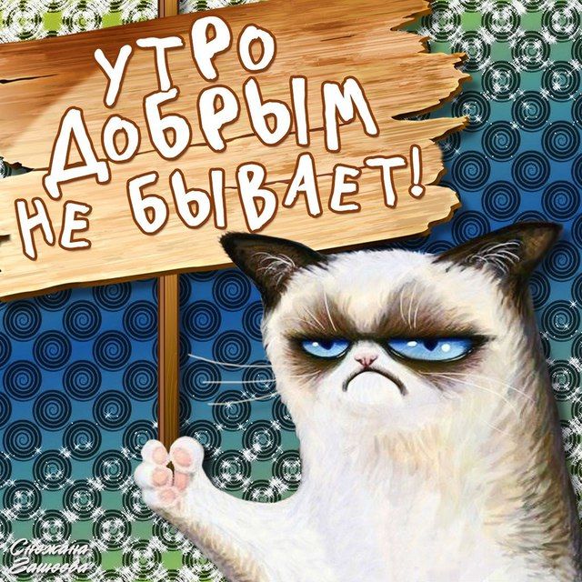 Мая, картинки с надписями про доброе утро прикольные смешные