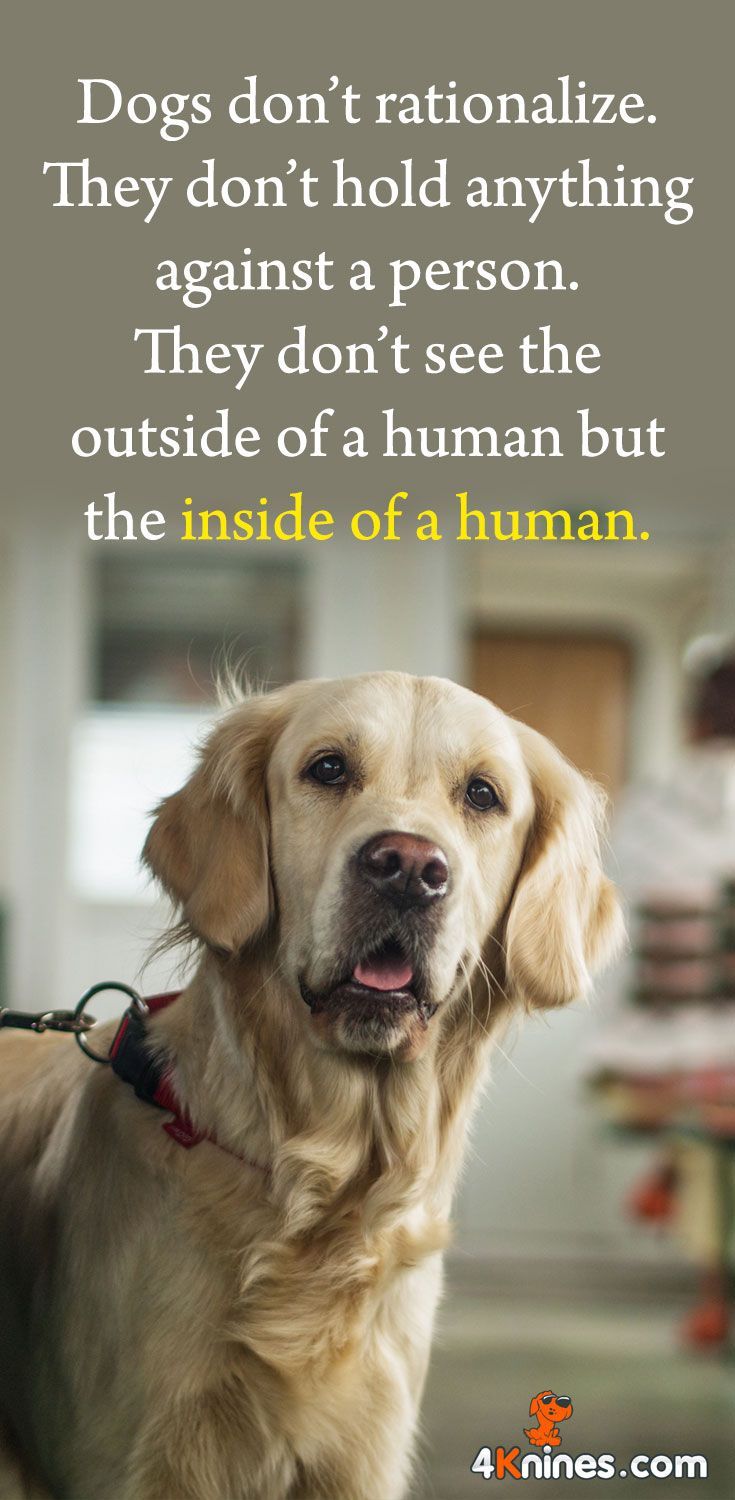 They Don T See The Outside Of A Human But Inside They Don T See The Outside Of A Human