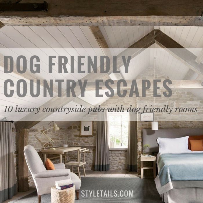 Hotel Chains Dog Friendly Uk Hotel Chains Dog Friendly Uk