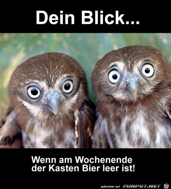 Die geilsten Shirts für Bier Trinker und Bierbrauer gibt's nur bei uns von EBEN...