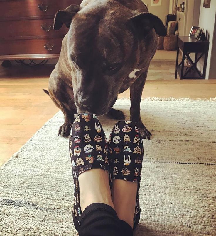 Famous footwear 25 off coupon