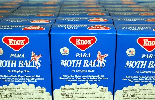Would Mothballs Keep Cats Away Would Mothballs Keep Cats Away