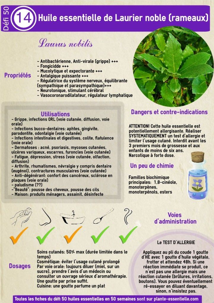 L'huile essentielle de laurier noble: propriétés (Laurus L'huile essentielle de laurier noble: propriétés (Laurus
