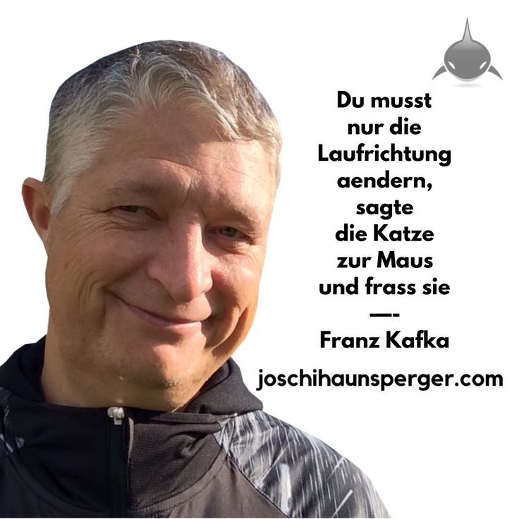 Online entdecken offline treffen
