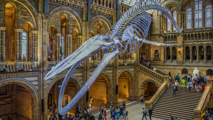 St Nicholas Square Natural History Museum St Nicholas Square Natural History Museum